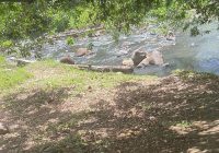 WhatsApp Image 2025-10-08 à 17.41.39_20807da6